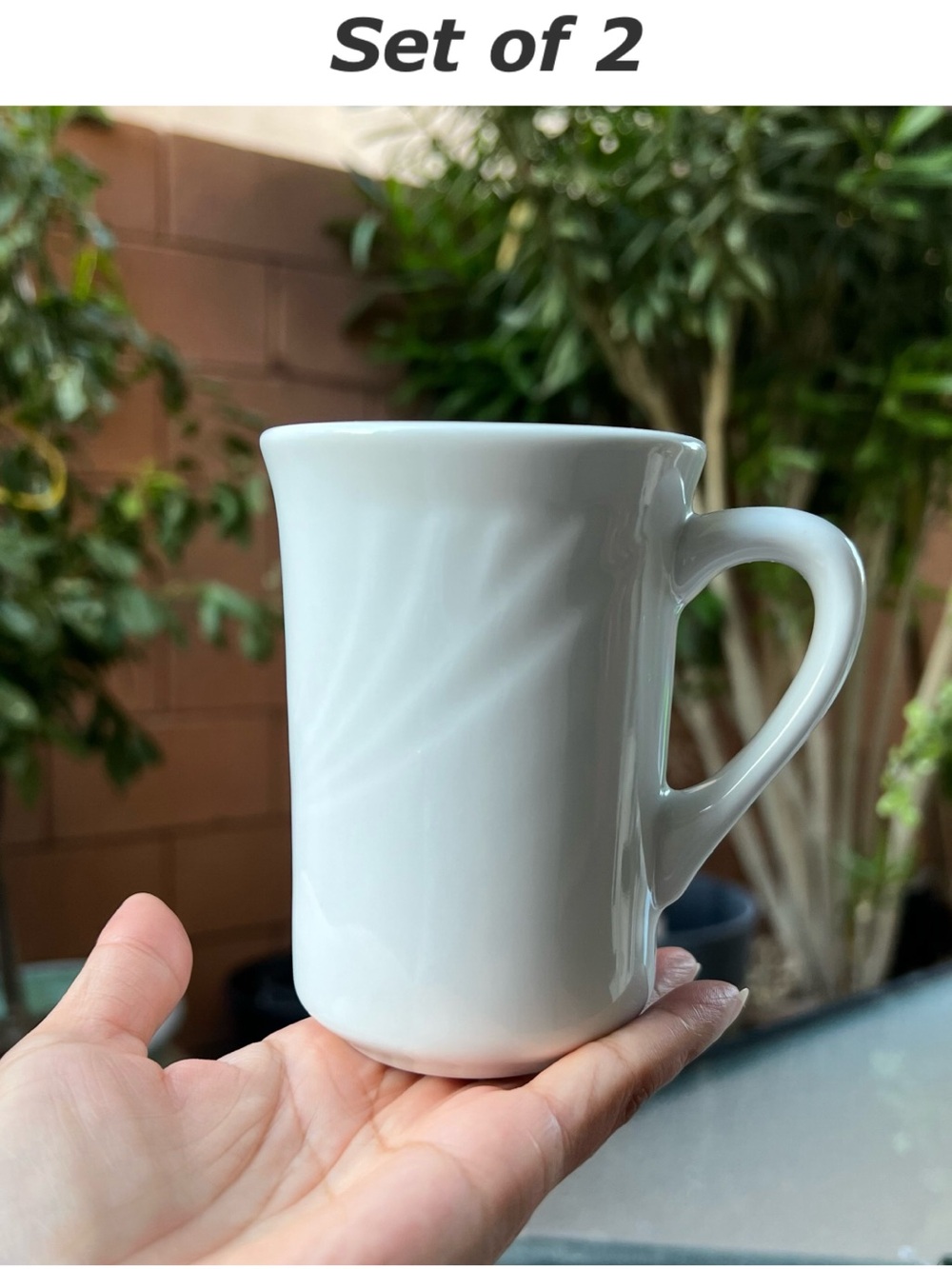 Tuxton Restaurant Ware Cups Vitrified Porcelain Farmhouse Retro Sonoma Set of 2